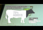 Antibiotiques dans les aliments